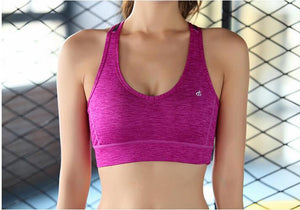 Modern High Performance Sports Bra 02 for Women