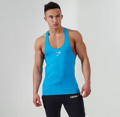 Focus Mesh Workout Irish Sleeveless Fitness Tank Top for Men