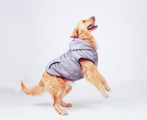 Pet Winter Warm Water Repellent Padded Dog Cloth Gray