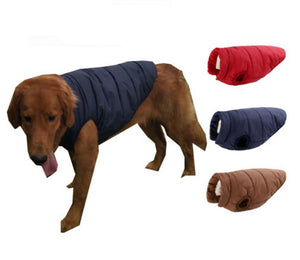 Padded British Style Cold Winter Vest For Loved Dog