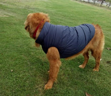 Padded British Style Cold Winter Vest For Loved Dog