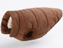 Padded British Style Cold Winter Vest For Loved Dog