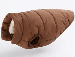 Padded British Style Cold Winter Vest For Loved Dog