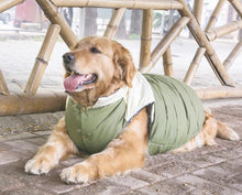 Waterproof Pet Puppy Vest Warm Winter Dog Clothes