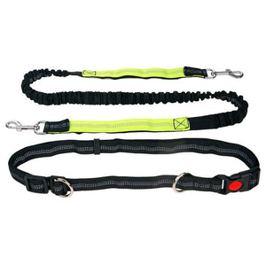 Hands-Free Premium Dog Running Leash with Adjustable Waist Belt