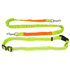 Hands-Free Premium Dog Running Leash with Adjustable Waist Belt