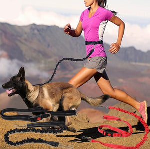 Hands-Free Premium Dog Running Leash with Adjustable Waist Belt