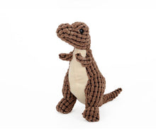 Plush Dinosaur Skinny Squeaky Dog Toy