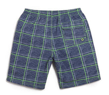 Men's Gray Green Line Beach Board Shorts